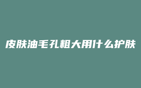 皮肤油毛孔粗大用什么护肤品