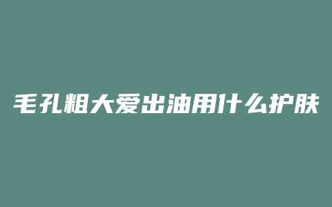 毛孔粗大爱出油用什么护肤品