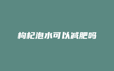 枸杞泡水可以减肥吗