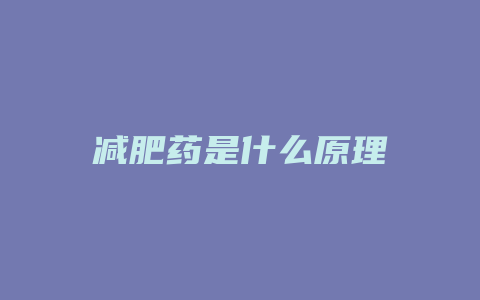 减肥药是什么原理