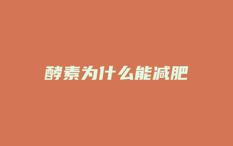 酵素为什么能减肥