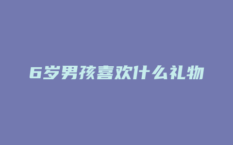 6岁男孩喜欢什么礼物