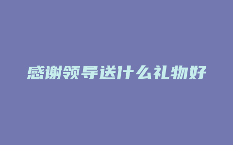 感谢领导送什么礼物好