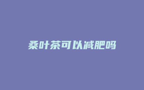 桑叶茶可以减肥吗