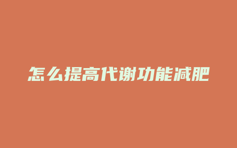 怎么提高代谢功能减肥