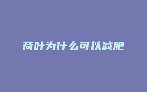 荷叶为什么可以减肥