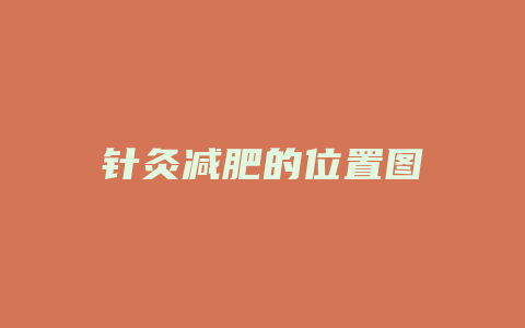 针灸减肥的位置图